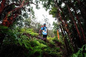 BIB: 
                            <button type="button" onclick="openModal(26201569)" class="btn btn-primary btn-sm float-right btn-popup" data-toggle="modal" data-target=".modal-high-quality">
                        <i class="fas fa-shopping-cart"></i> Add to Cart
                    </button>
                                            <button type="button" onclick="isThisMe(26201569, true)" class="btn btn-success btn-sm float-right btn-popup btn-isme hidden" data-toggle="tooltip" data-placement="bottom" title="นี่คือรูปของคุณใช่ไหม คลิกที่นี่เพื่อเอาเข้าอัลบั้ม">
                        <i class="fas fa-plus"></i> Add to album
                    </button>
                    <button type="button" onclick="isThisMe(26201569, false)" class="btn btn-warning btn-sm float-right btn-popup btn-isnotme hidden">
                        <i class="fas fa-ban"></i> Remove from album
                    </button>